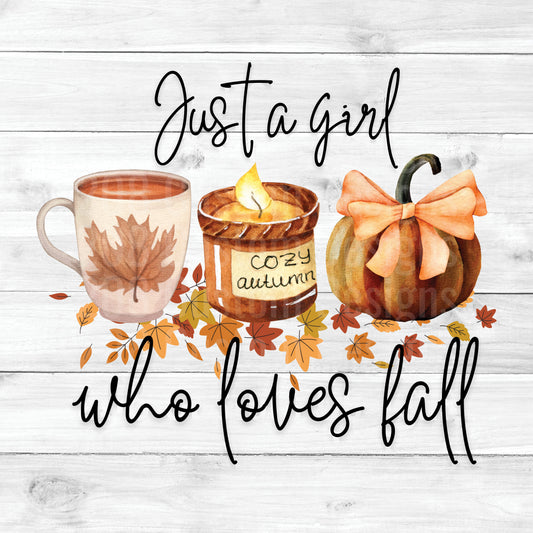 Just a Girl who Loves Fall Women's Boxy Tee